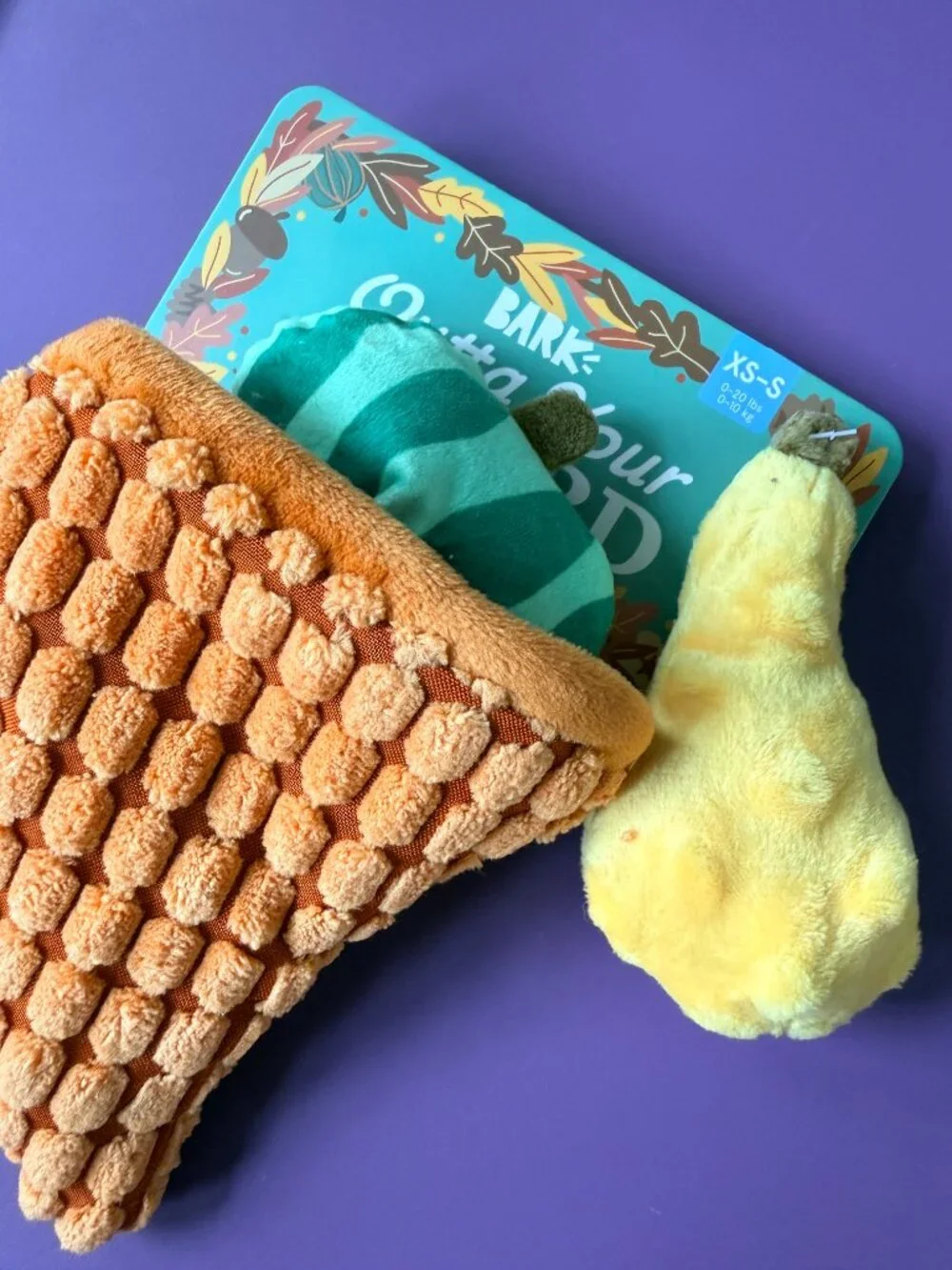NWT! Bark | Outta your Gourd